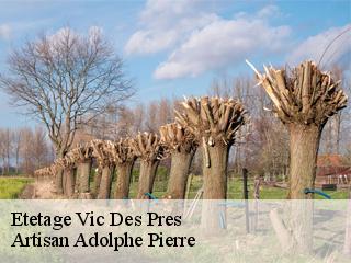 Etetage  vic-des-pres-21360 Artisan Adolphe Pierre