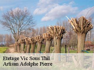 Etetage  vic-sous-thil-21390 Artisan Adolphe Pierre