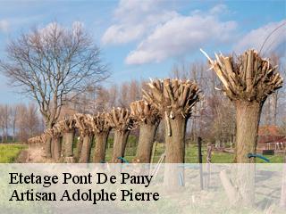 Etetage pont-de-pany-21410 Artisan Adolphe Pierre