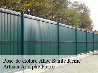 Pose de cloture  alise-sainte-reine-21150 Artisan Adolphe Pierre