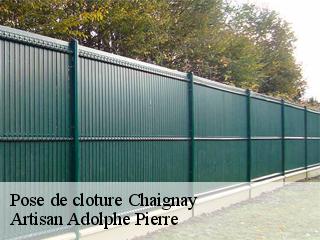 Pose de cloture  chaignay-21120 Artisan Adolphe Pierre