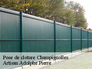 Pose de cloture champignolles-21230 Artisan Adolphe Pierre
