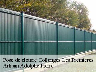 Pose de cloture collonges-les-premieres-21110 Artisan Adolphe Pierre
