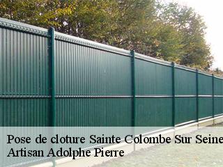 Pose de cloture  sainte-colombe-sur-seine-21400 Artisan Adolphe Pierre