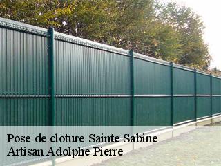 Pose de cloture  sainte-sabine-21320 Artisan Adolphe Pierre