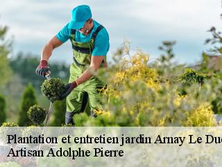 Plantation et entretien jardin  arnay-le-duc-21230 Artisan Adolphe Pierre