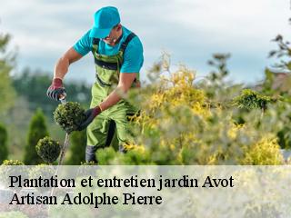 Plantation et entretien jardin  avot-21580 Artisan Adolphe Pierre