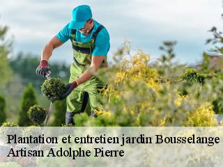 Plantation et entretien jardin  bousselange-21250 Artisan Adolphe Pierre