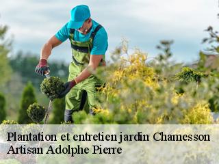 Plantation et entretien jardin  chamesson-21400 Artisan Adolphe Pierre