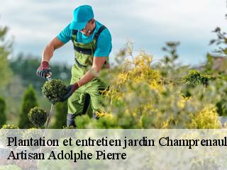 Plantation et entretien jardin  champrenault-21690 Artisan Adolphe Pierre