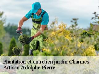 Plantation et entretien jardin  charmes-21310 Artisan Adolphe Pierre