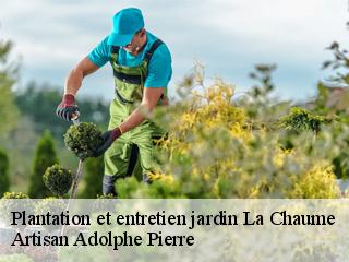 Plantation et entretien jardin  la-chaume-21520 Artisan Adolphe Pierre