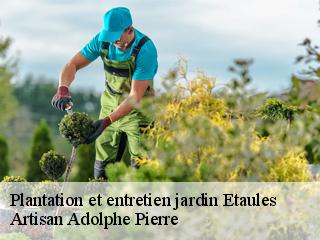 Plantation et entretien jardin  etaules-21121 Artisan Adolphe Pierre