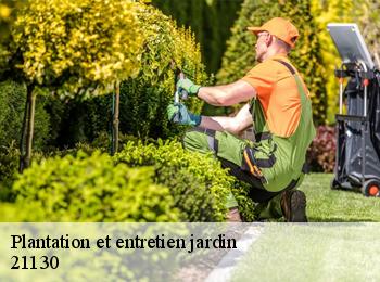 Plantation et entretien jardin  21130