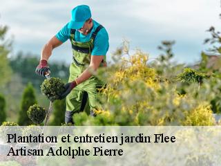 Plantation et entretien jardin  flee-21140 Artisan Adolphe Pierre