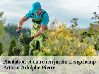 Plantation et entretien jardin  longchamp-21110 Artisan Adolphe Pierre