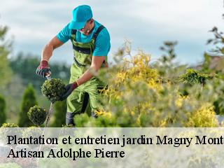 Plantation et entretien jardin  magny-montarlot-21130 Artisan Adolphe Pierre