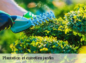 Plantation et entretien jardin