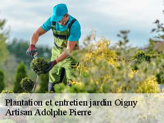 Plantation et entretien jardin  oigny-21450 Artisan Adolphe Pierre