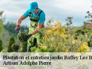 Plantation et entretien jardin  ruffey-les-beaune-21200 Artisan Adolphe Pierre