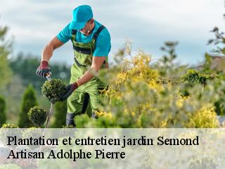 Plantation et entretien jardin  semond-21450 Artisan Adolphe Pierre