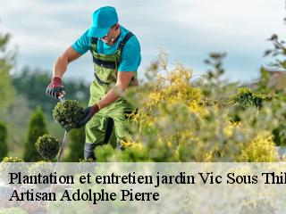 Plantation et entretien jardin  vic-sous-thil-21390 Artisan Adolphe Pierre
