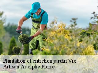 Plantation et entretien jardin  vix-21400 Artisan Adolphe Pierre