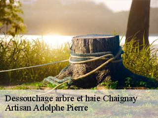 Dessouchage arbre et haie chaignay-21120 Artisan Adolphe Pierre