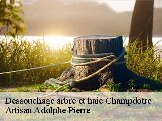 Dessouchage arbre et haie  champdotre-21130 Artisan Adolphe Pierre