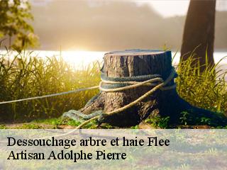 Dessouchage arbre et haie  flee-21140 Artisan Adolphe Pierre