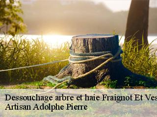 Dessouchage arbre et haie  fraignot-et-vesvrotte-21580 Artisan Adolphe Pierre