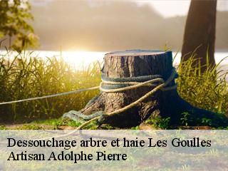 Dessouchage arbre et haie  les-goulles-21520 Artisan Adolphe Pierre