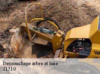 Dessouchage arbre et haie 21510