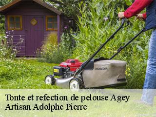 Tonte et refection de pelouse  agey-21410 Artisan Adolphe Pierre