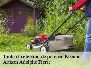 Tonte et refection de pelouse  beaune-21200 Artisan Adolphe Pierre