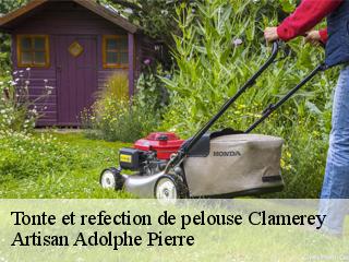 Tonte et refection de pelouse  clamerey-21390 ADEL Moise Élagueur
