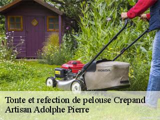 Tonte et refection de pelouse  crepand-21500 Artisan Adolphe Pierre