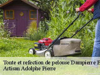 Tonte et refection de pelouse  dampierre-et-flee-21310 Artisan Adolphe Pierre