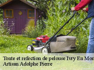 Tonte et refection de pelouse  ivry-en-montagne-21340 Artisan Adolphe Pierre