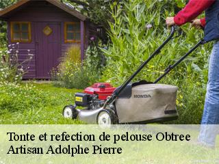 Tonte et refection de pelouse  obtree-21400 Artisan Adolphe Pierre