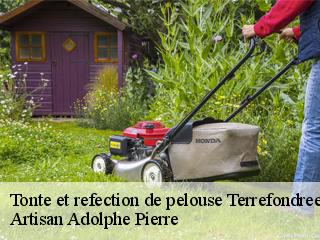 Tonte et refection de pelouse  terrefondree-21290 Artisan Adolphe Pierre