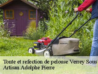 Tonte et refection de pelouse verrey-sous-salmaise-21690 ADEL Moise Élagueur