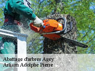 Abattage d'arbres  agey-21410 Artisan Adolphe Pierre