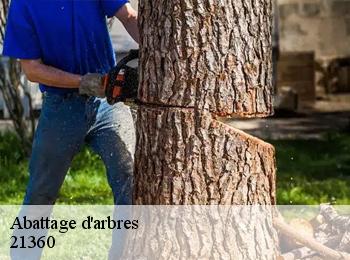 Abattage d'arbres 21360
