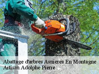 Abattage d'arbres  asnieres-en-montagne-21500 Artisan Adolphe Pierre