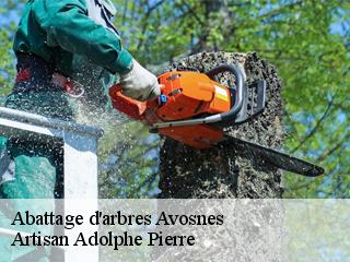 Abattage d'arbres  avosnes-21350 Artisan Adolphe Pierre