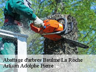 Abattage d'arbres  baulme-la-roche-21410 Artisan Adolphe Pierre