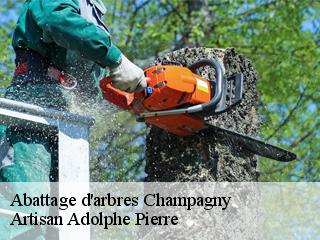Abattage d'arbres  champagny-21440 Artisan Adolphe Pierre