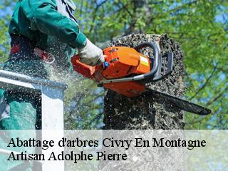 Abattage d'arbres  civry-en-montagne-21320 Artisan Adolphe Pierre