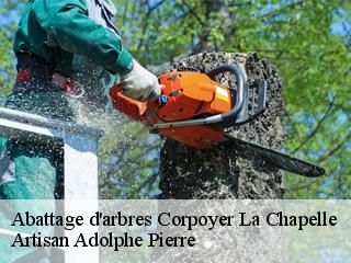 Abattage d'arbres  corpoyer-la-chapelle-21150 Artisan Adolphe Pierre
